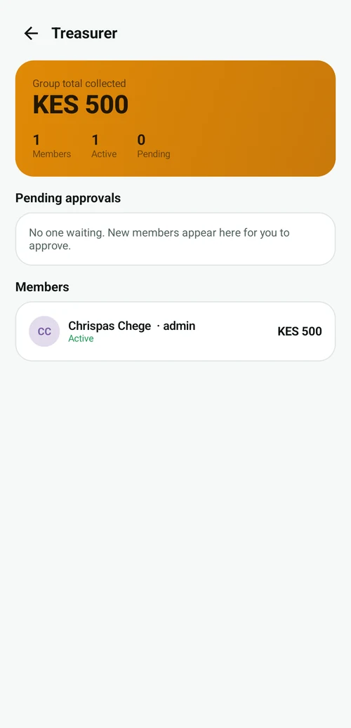 Wazi app — treasurer dashboard